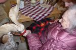 Tiere zu Besuch